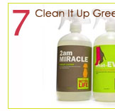 7. Clean It Up Green