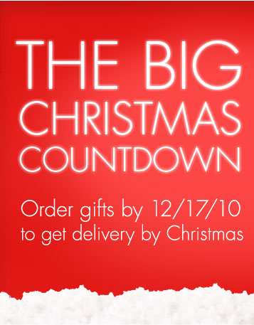 THE BIG CHRISTMAS COUNTDOWN FINAL DAYS Order gifts by 12/17/10 to get delivery by Christmas