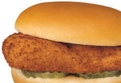 The New Spicy Chicken Sandwich