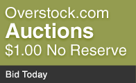 Overstock.com Auctions