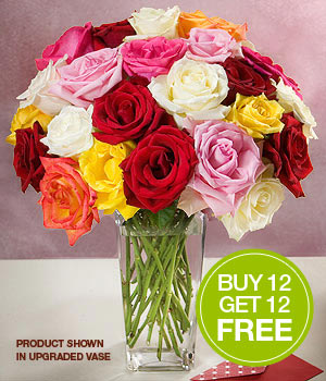  One Dozen Assorted Roses + 12 Free 
