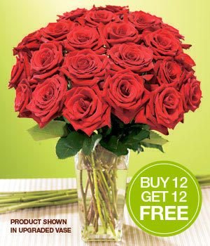 One Dozen Red Roses + 12 Free