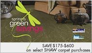 AnsoNylon, Shaw Carpet, Save $175 - $600.