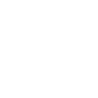 Google+