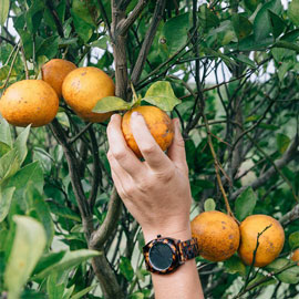 Nixon |
Faces: Foragers