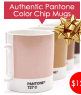 Authentic Pantone Color Chip Mugs