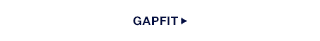 GAPFIT