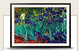 Irises, Saint-Remy, c.1889