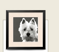 West Highland Terrier